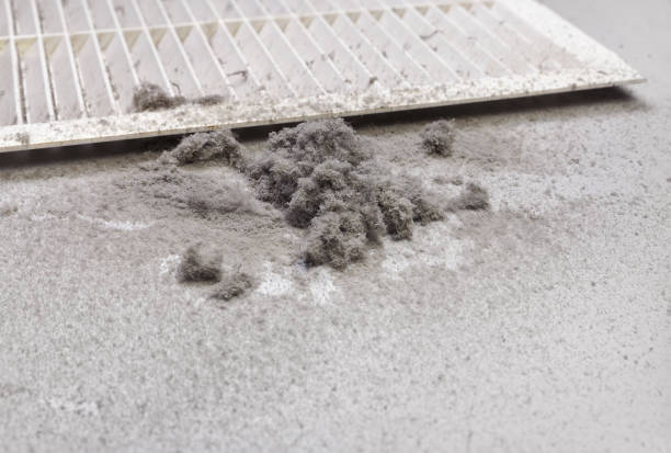 Best Air Duct Sanitizing Services  in Ly Lake, IL