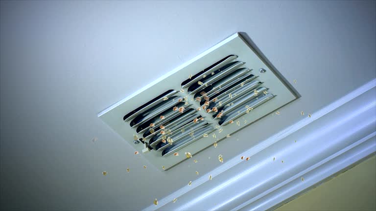 Best Ventilation Cleaning Services  in Ly Lake, IL