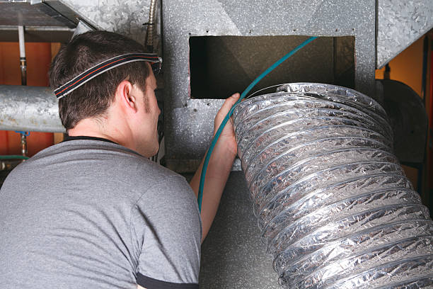 Best Ductwork Cleaning Services  in Ly Lake, IL