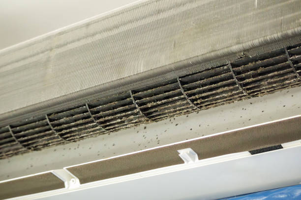 Best Emergency Air Duct Cleaning  in Ly Lake, IL