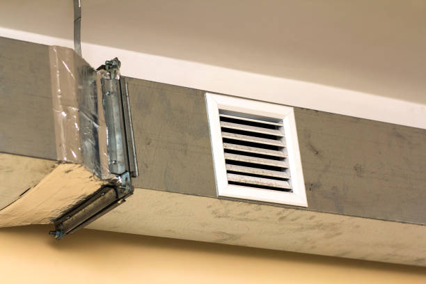 Best Affordable Duct Cleaning Services  in Ly Lake, IL